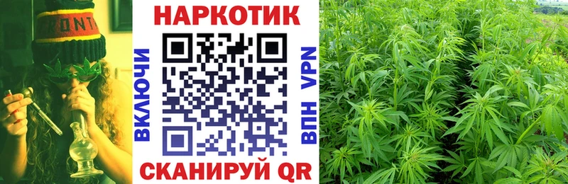 Магазины продажи наркотиков Кубинка COCAIN  A PVP  Галлюциногенные грибы  Каннабис 