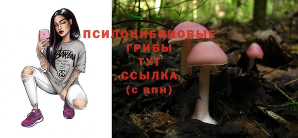 марихуана Новодвинск