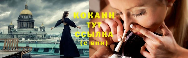 спиды Няндома