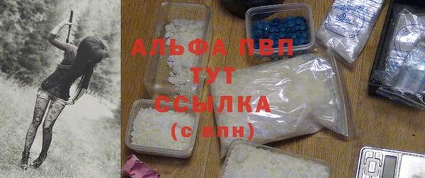 спиды Няндома