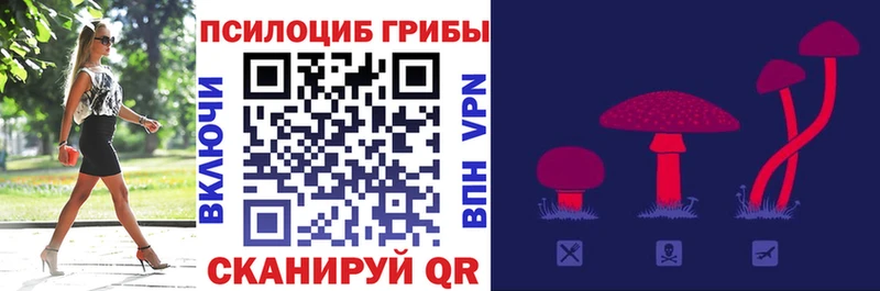 Галлюциногенные грибы мухоморы  цена наркотик  Кубинка 