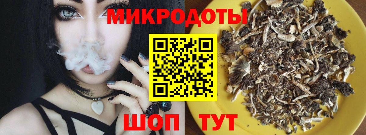 Галлюциногенные грибы Psilocybine cubensis Кубинка