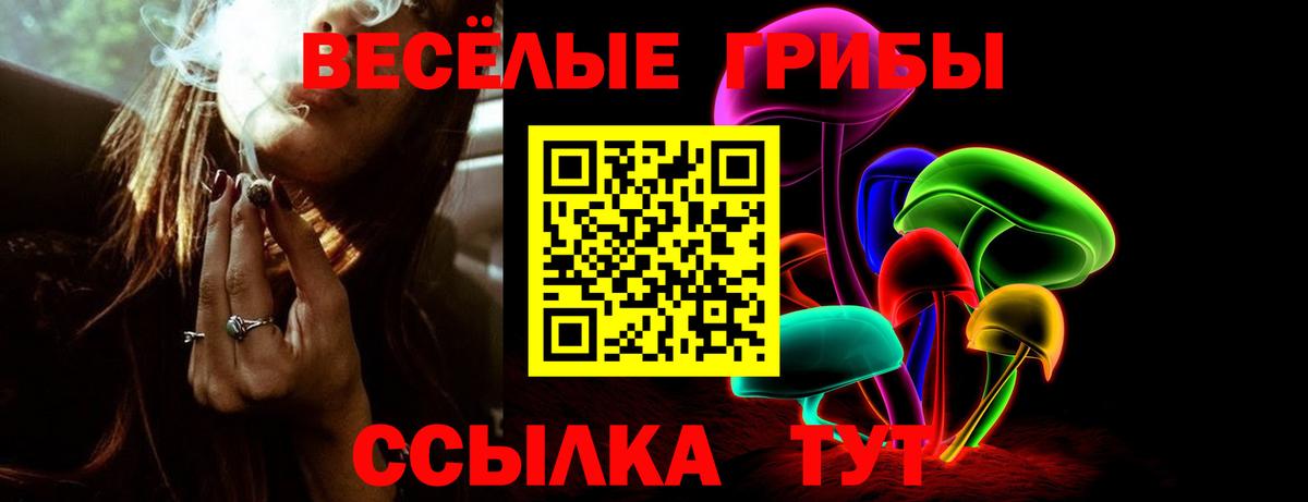 Галлюциногенные грибы MAGIC MUSHROOMS Кубинка